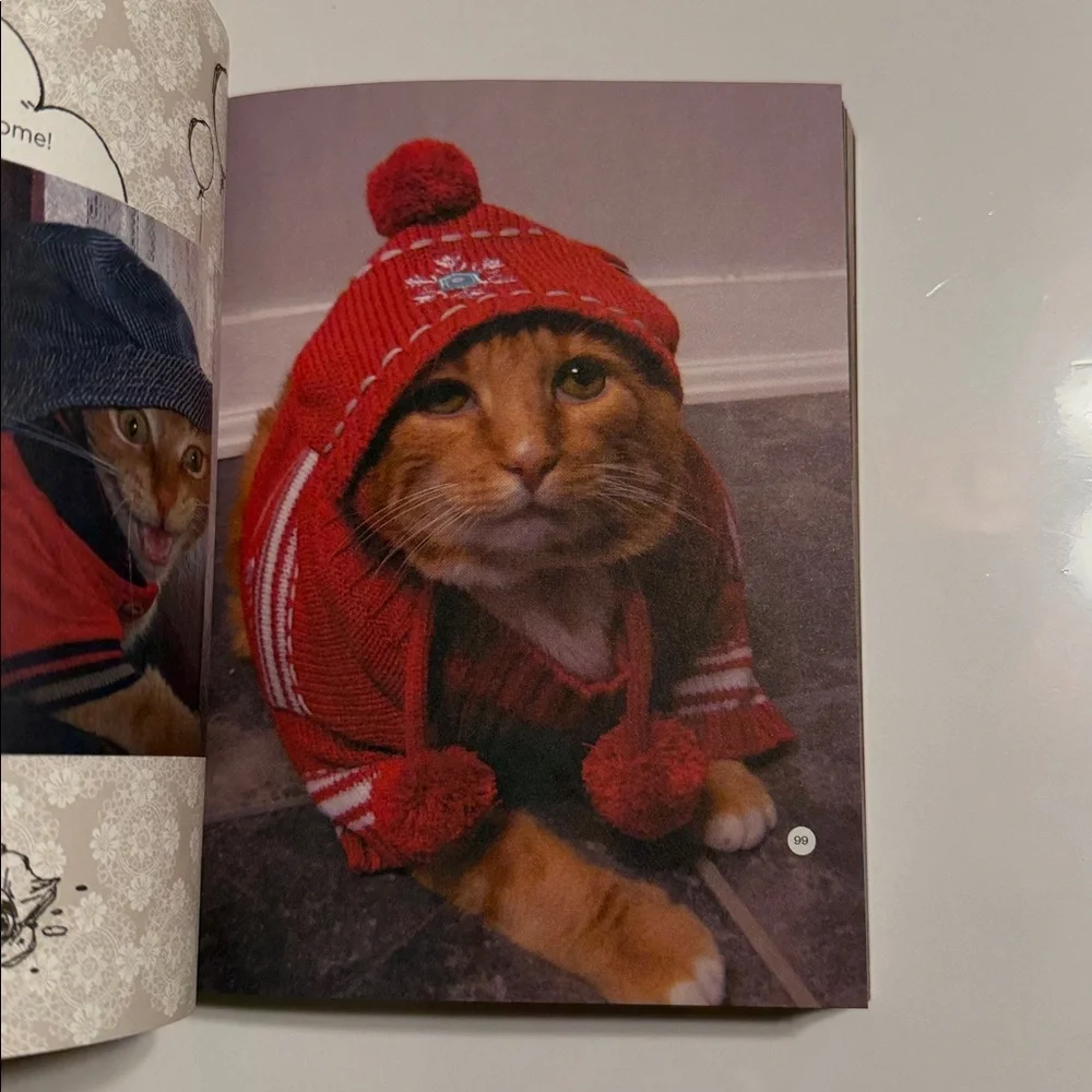 Chronicle Books: More Stuff on My Cat - Vibrant Cover